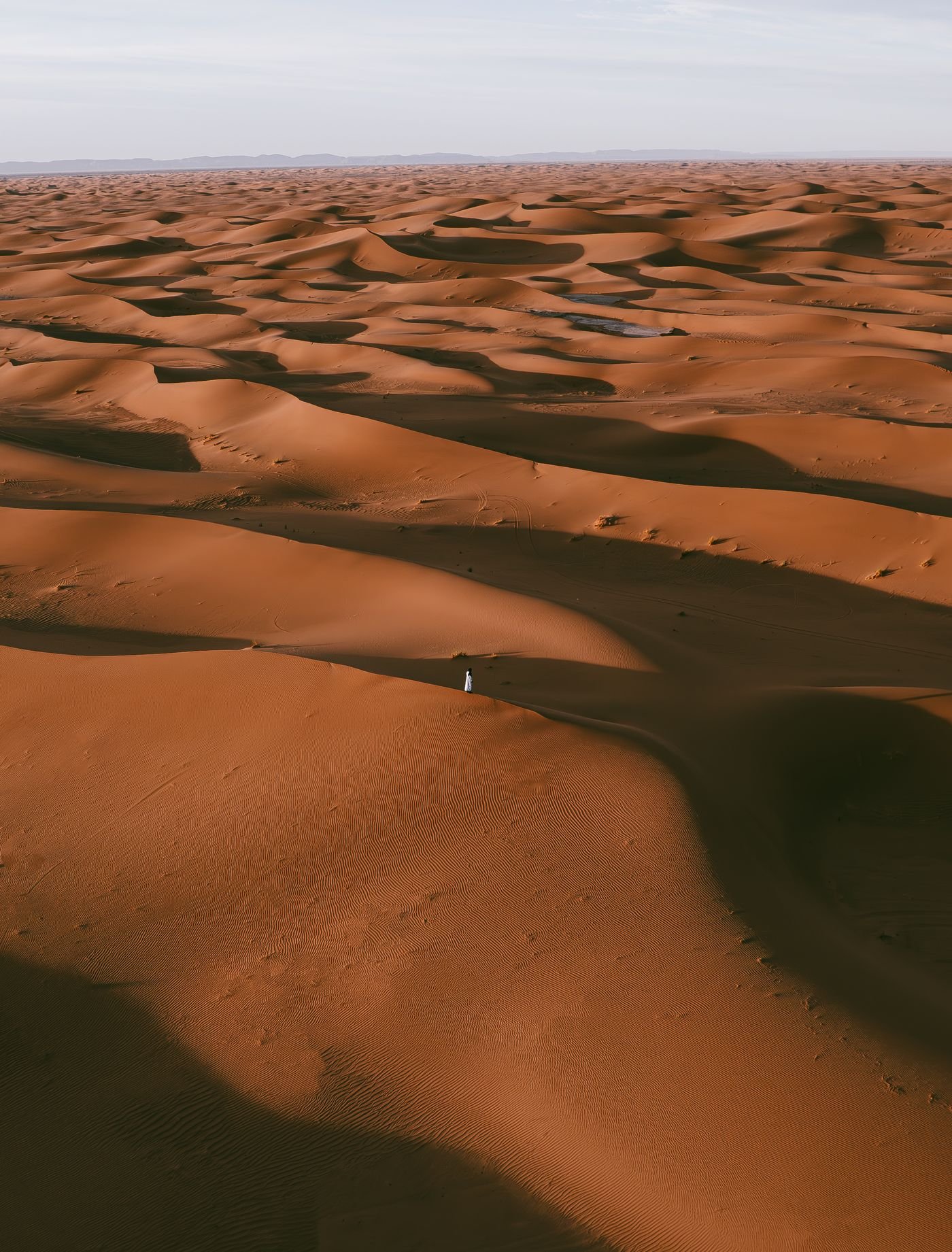 Desert Search and Rescue Drones: Thermal + AI Tracking for Finding People in Unmanned Areas