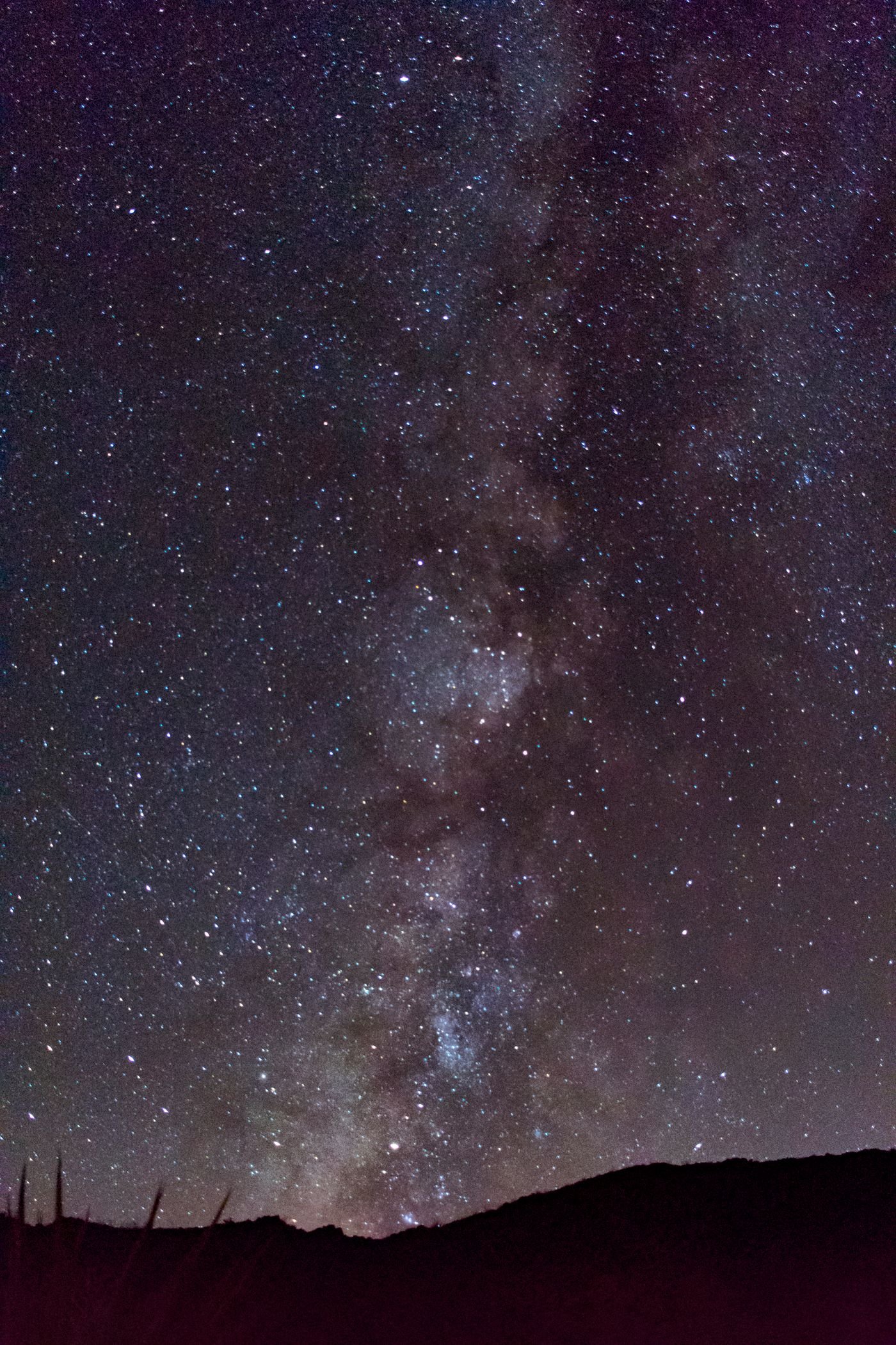 Desert search and rescue operations under the night sky